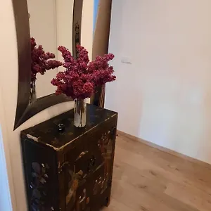 Schone In Der Grazer Innenstadt , Graz Ausztria